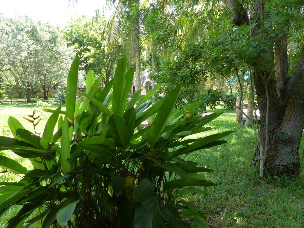Residence Maison Muege Kilifi Buitenkant foto